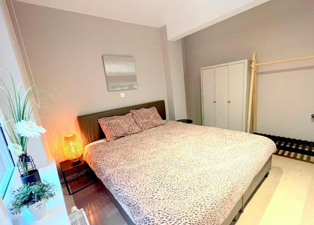 Belverdi & Appartement *