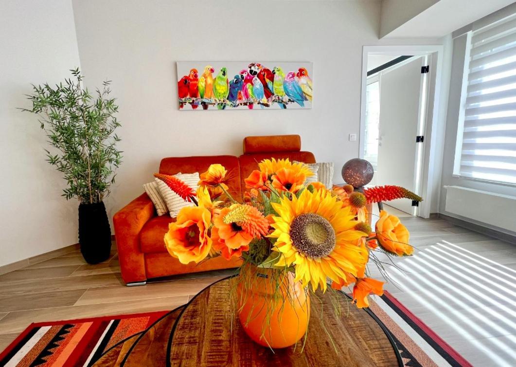 Belverdi & Appartement *